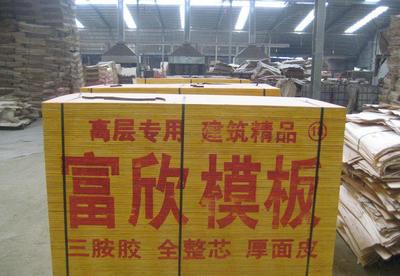 湖南建筑模板 湖南建筑模板廠家直銷 可用10-12次圖片_高清圖_細節(jié)圖-沭陽縣龍廟鎮(zhèn)富欣木業(yè)制品廠 -
