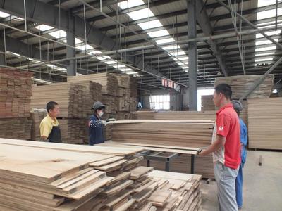 木業企業的樂園-企業,木業,林木,干燥,生產,-綏芬河站